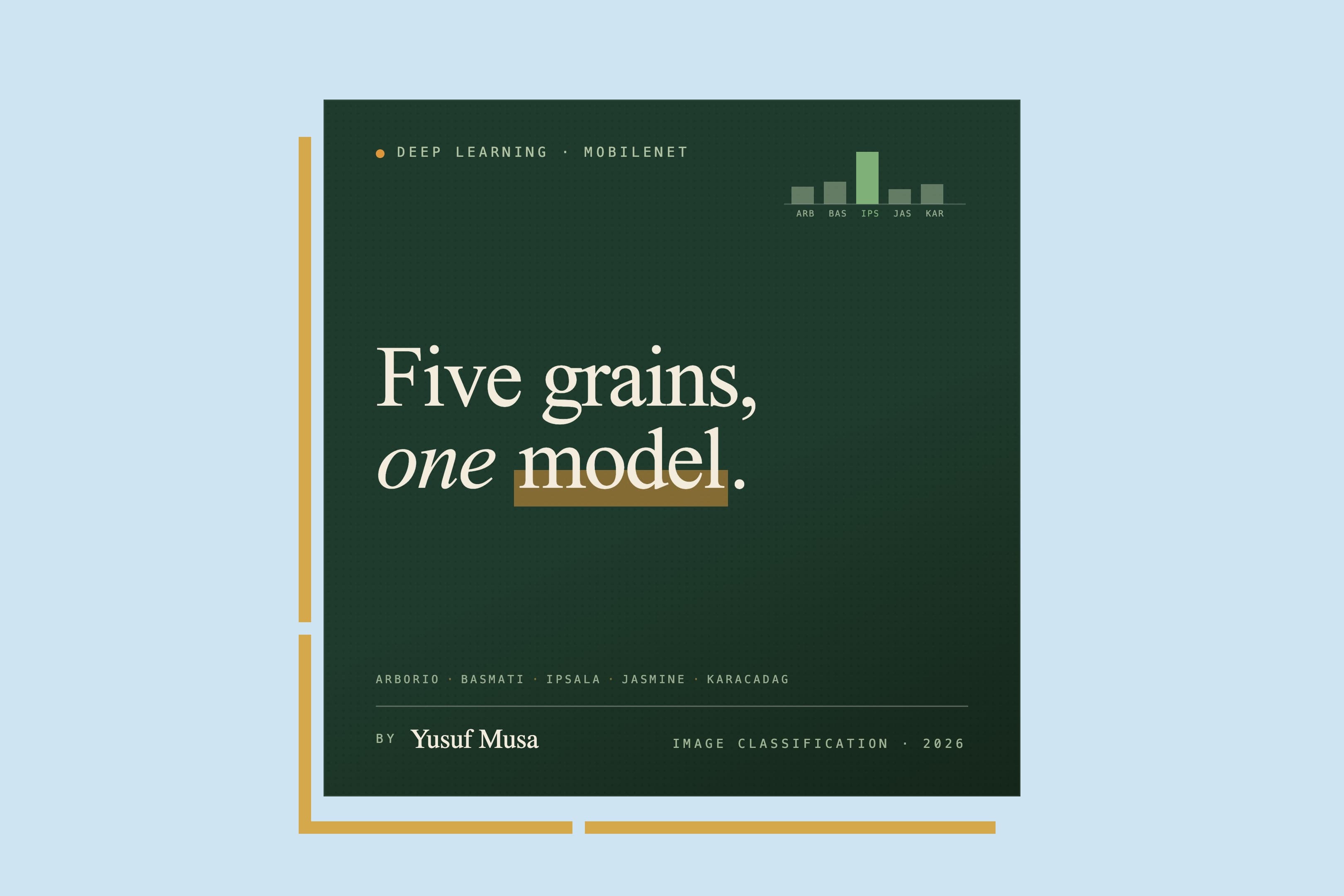 Rice Variety Classification