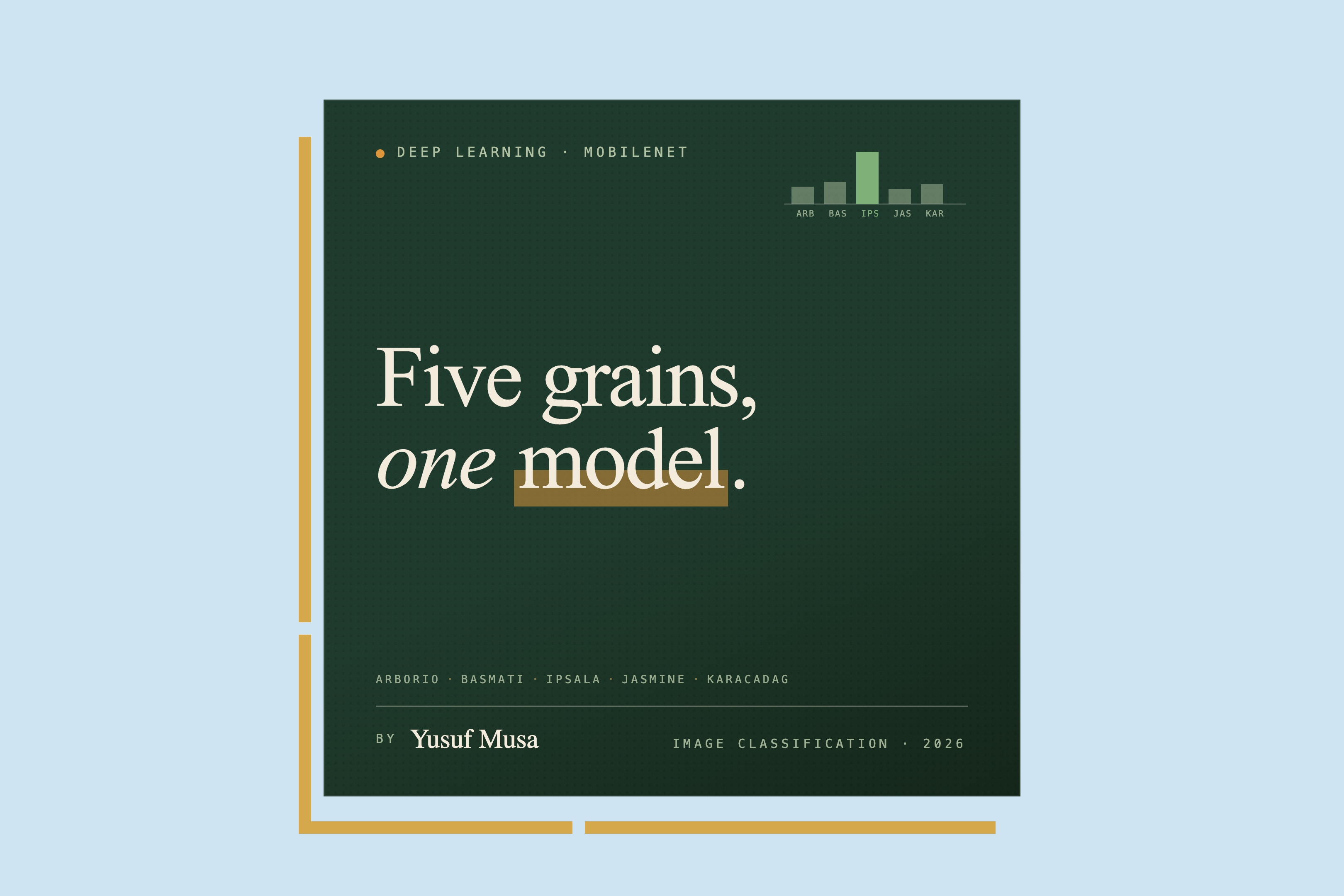 Rice Variety Classification